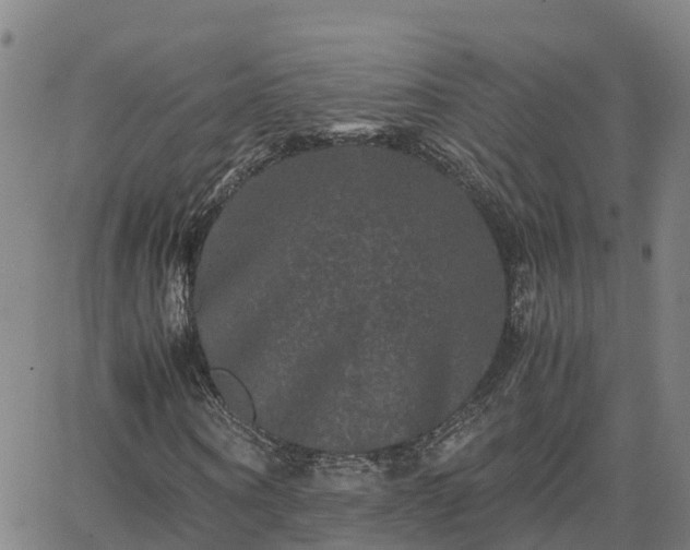 X0000062830866200601201610