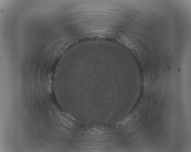 X0000062830868200601201610