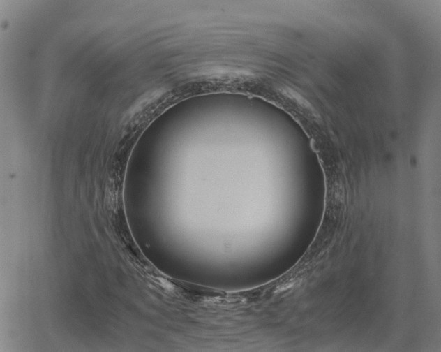 X0000062830869200601201610