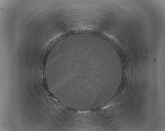 X0000062830870200601201610