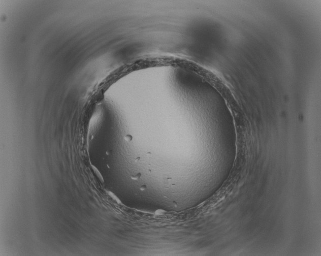 X0000062830871200601201610