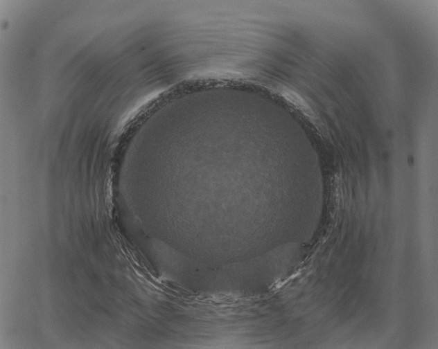 X0000062830872200601201610