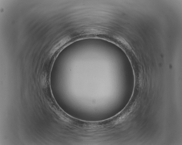 X0000062830873200601201610