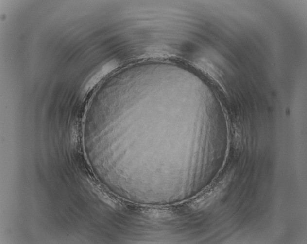 X0000062830874200601201610