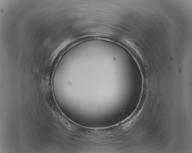 X0000062830875200601201610