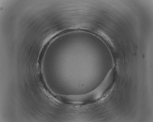 X0000062830876200601201610