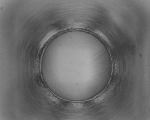 X0000062830878200601201610