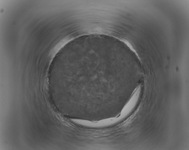 X0000062830879200601201610