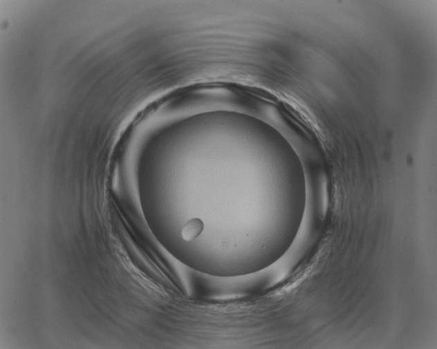 X0000062830880200601201610