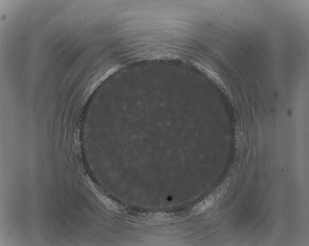 X0000062830881200601201610