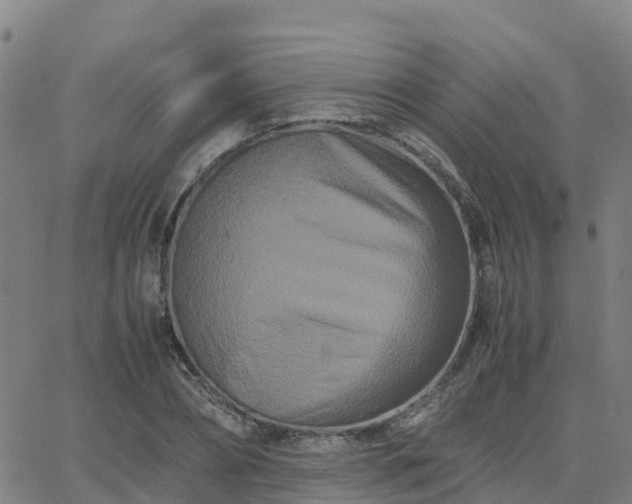 X0000062830882200601201610