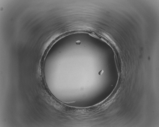 X0000062830883200601201610