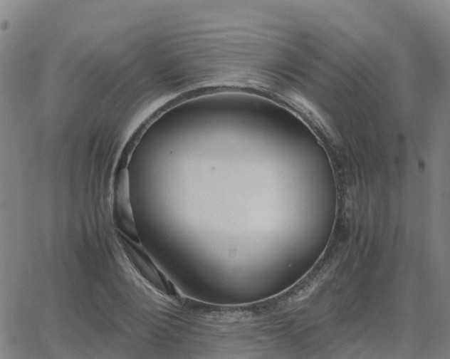 X0000062830884200601201610