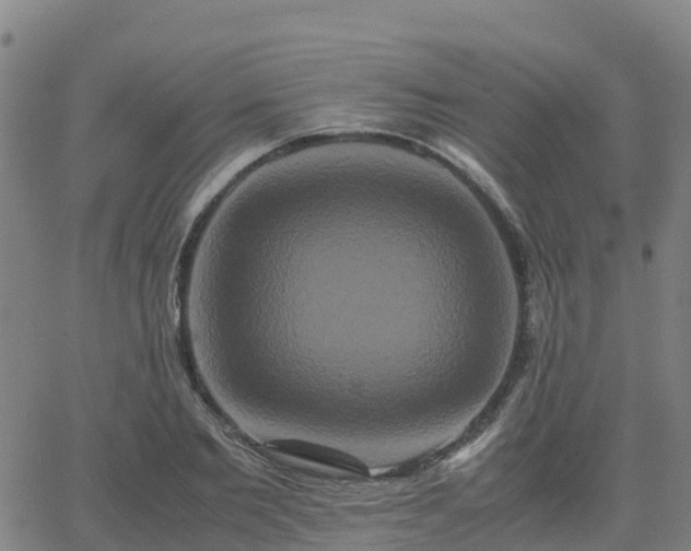 X0000062830885200601201610