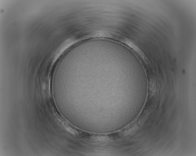 X0000062830886200601201610