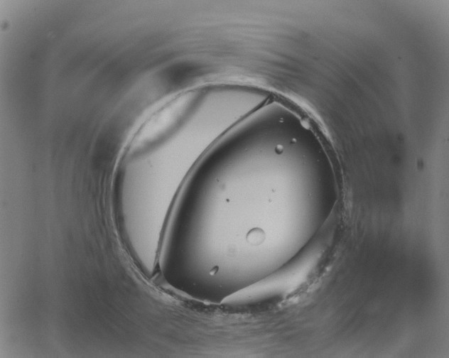 X0000062830887200601201610