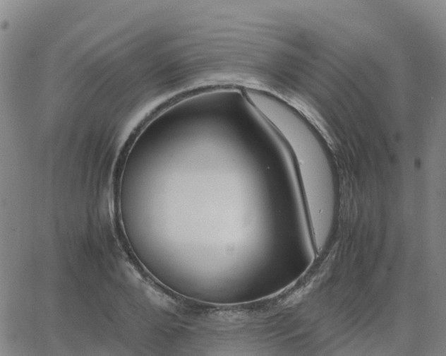 X0000062830888200601201610