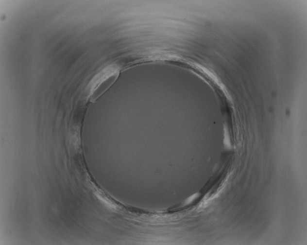 X0000062830889200601201610