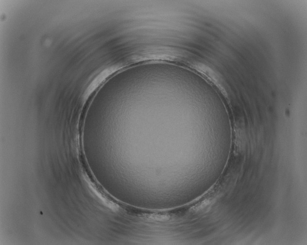 X0000062830890200601201610