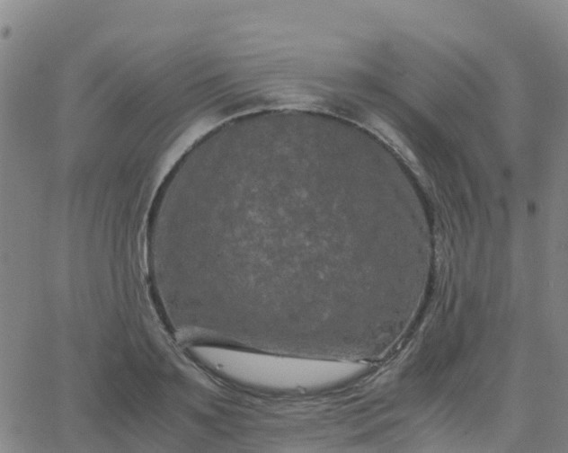 X0000062830891200601201610