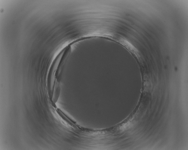 X0000062830892200601201610