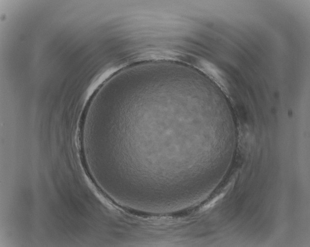 X0000062830893200601201610