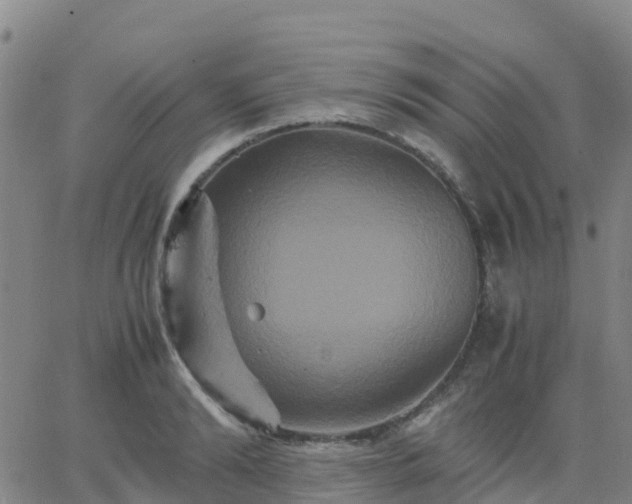 X0000062830894200601201610