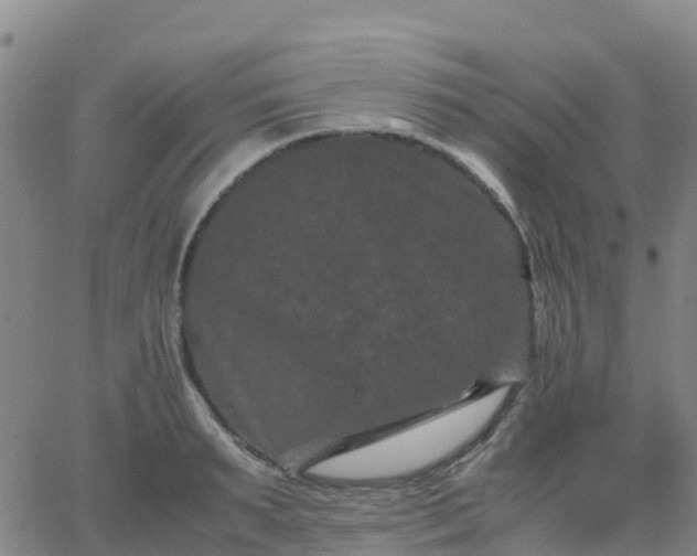 X0000062830895200601201610