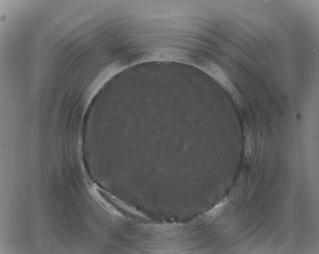 X0000062830896200601201610