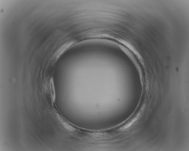 X0000062830897200601201610