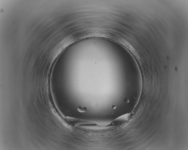 X0000062830898200601201610