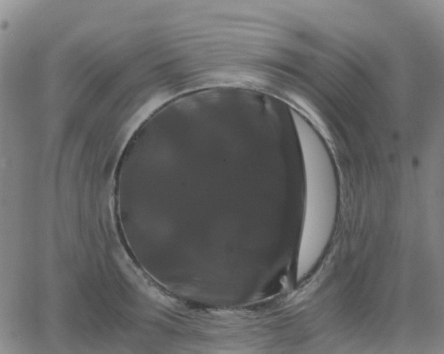 X0000062830899200601201610