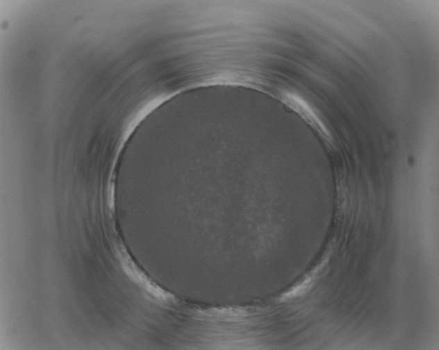 X0000062830900200601201610