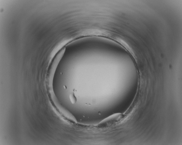 X0000062830901200601201610