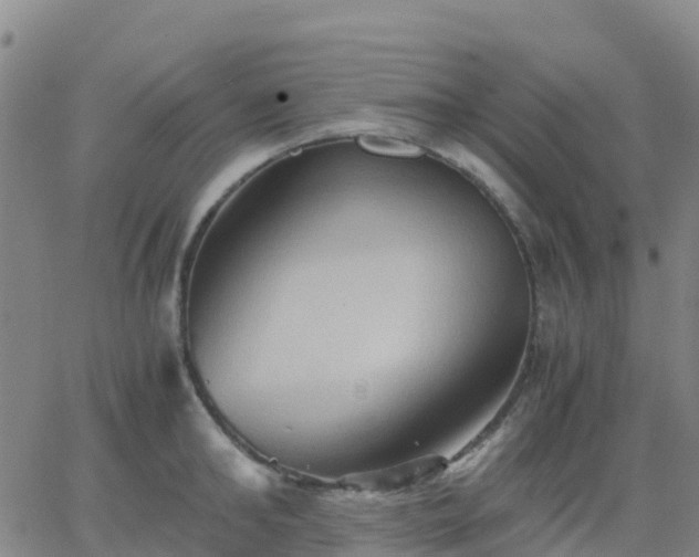 X0000062830902200601201610