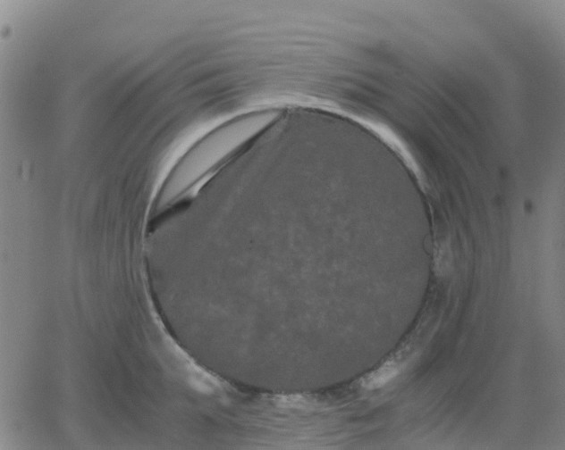 X0000062830903200601201610