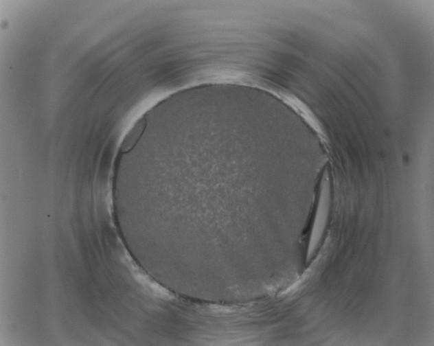 X0000062830904200601201609