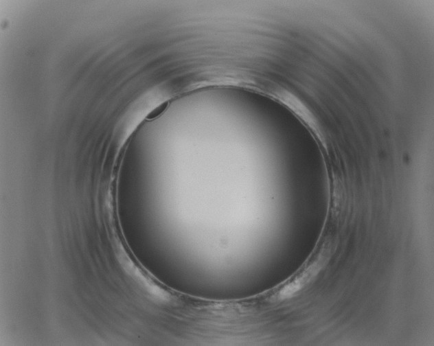 X0000062830906200601201609