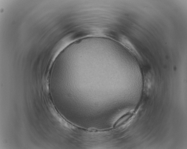 X0000062830908200601201609