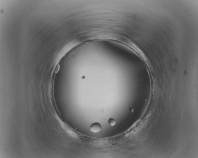 X0000062830909200601201609