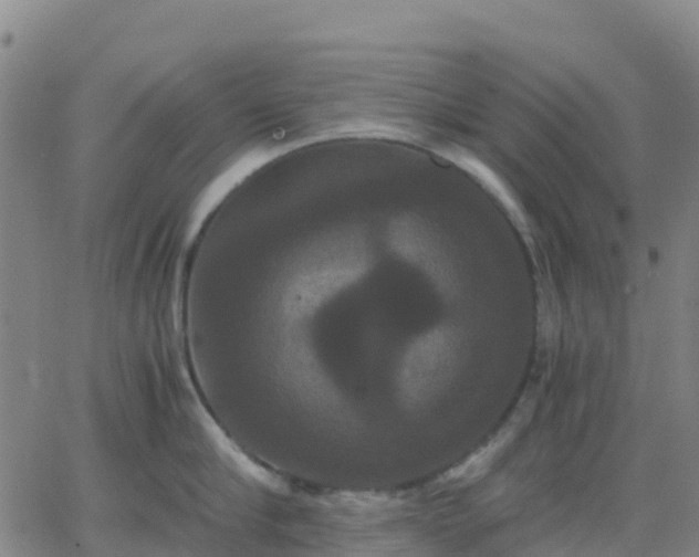 X0000062830910200601201609