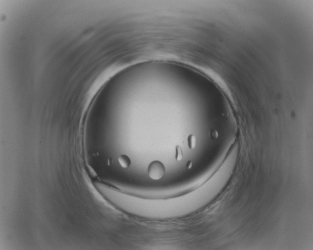 X0000062830911200601201609