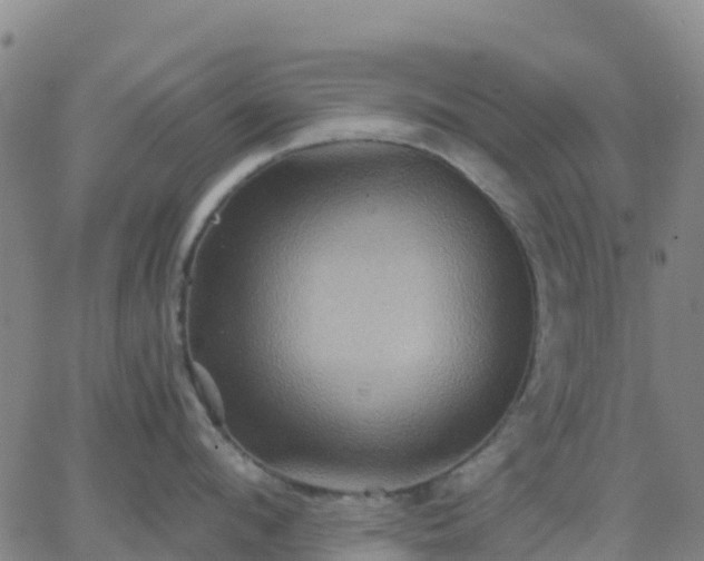 X0000062830912200601201609