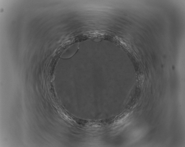 X0000062830913200601201609