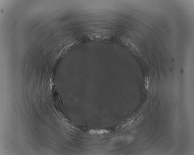 X0000062830915200601201609