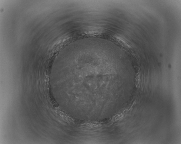 X0000062830917200601201609