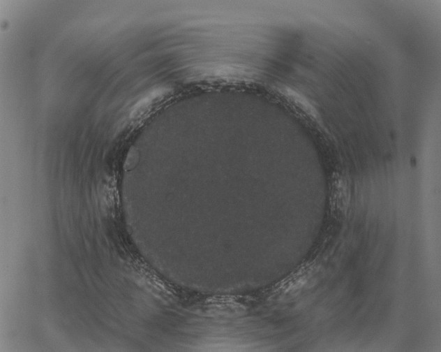 X0000062830918200601201609