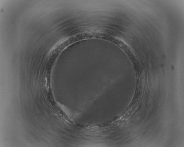 X0000062830919200601201609