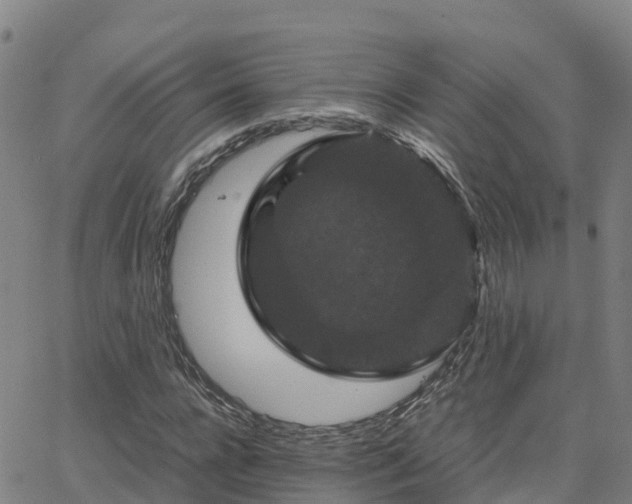 X0000062830920200601201609