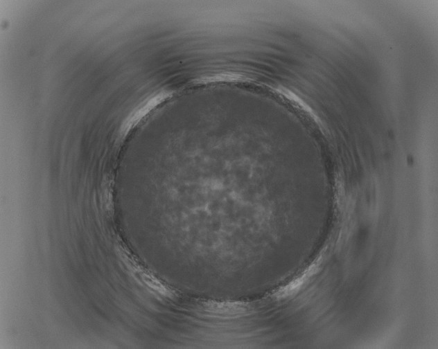 X0000062830921200601201609